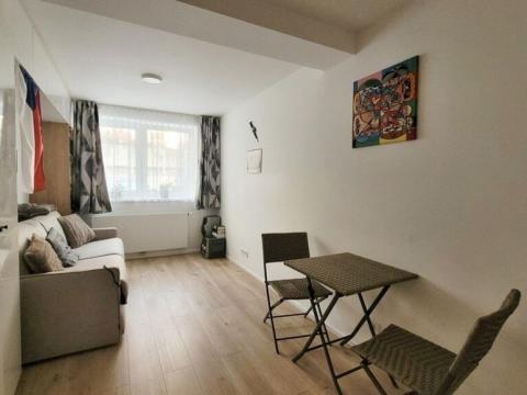 Pronájem bytu 1+kk, Praha - Strašnice, Strančická, 24 m2