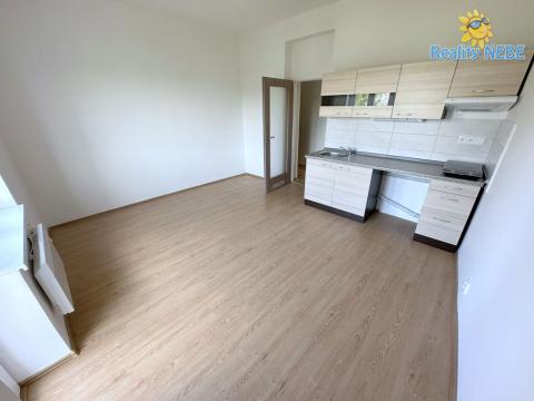 Pronájem bytu 1+kk, Praha - Michle, Hadovitá, 30 m2