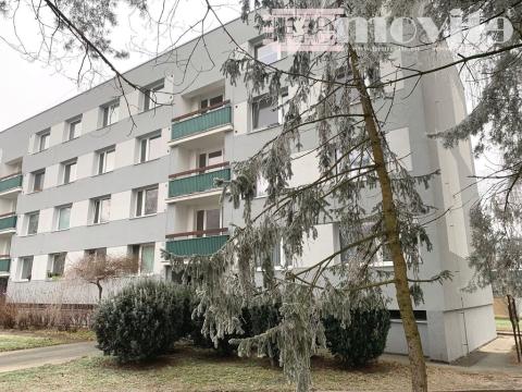 Prodej bytu 2+kk, Hradec Králové - Věkoše, Truhlářská, 42 m2