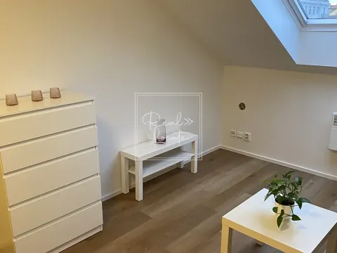 Pronájem bytu 2+kk, Praha - Vinohrady, Rumunská, 36 m2