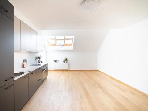 Pronájem bytu 1+kk, Praha - Žižkov, Jeronýmova, 31 m2