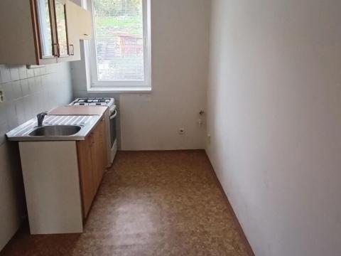 Pronájem bytu 1+1, Děčín - Děčín II-Nové Město, Kamenická, 44 m2