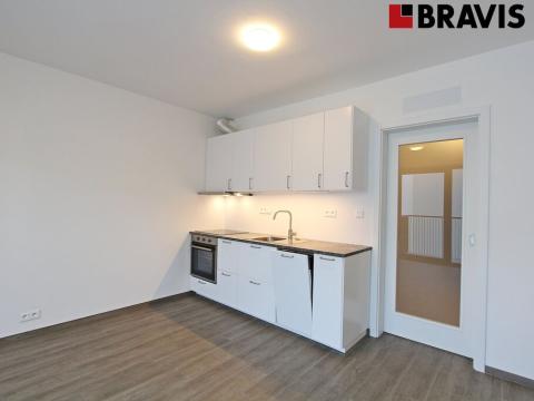 Pronájem bytu 1+kk, Brno - Veveří, Lidická, 34 m2