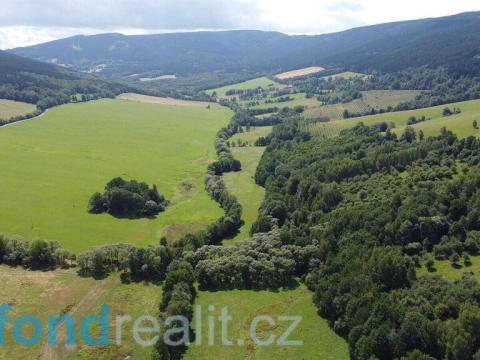 Prodej pozemku, Dešenice, 67850 m2