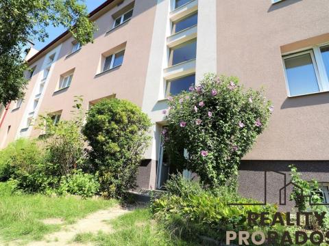 Pronájem bytu 1+1, Brno - Černovice, Cornovova, 50 m2