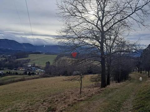 Prodej louky, Tichá, 17986 m2