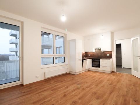 Pronájem bytu 1+kk, Praha - Dolní Měcholupy, Kardausova, 36 m2