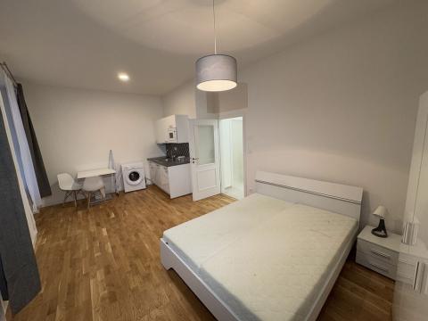 Prodej bytu 1+kk, Praha - Nové Město, Petrská, 30 m2