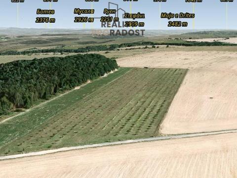 Prodej sadu/vinice, Odry - Kamenka, 40158 m2