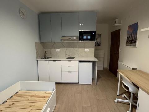 Pronájem bytu 1+kk, Praha - Krč, Čerčanská, 22 m2