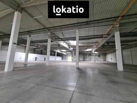 Pronájem skladu, Krupka, Eduarda Proppera, 5493 m2