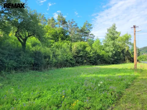 Prodej louky, Sýkořice, 3885 m2