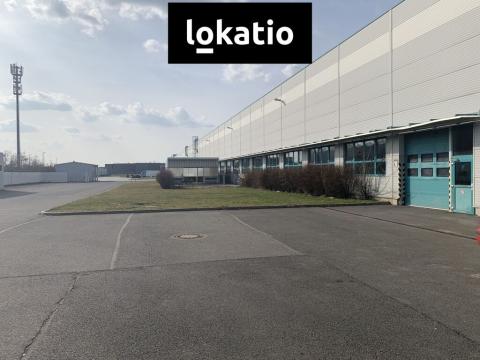 Pronájem skladu, Plzeň, U Nové Hospody, 16000 m2