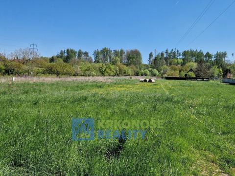 Prodej pozemku, Nové Město nad Metují - Krčín, 4081 m2