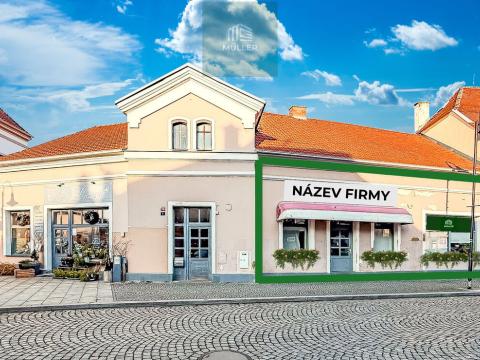 Pronájem obchodního prostoru, Dobřany, Lidická, 120 m2