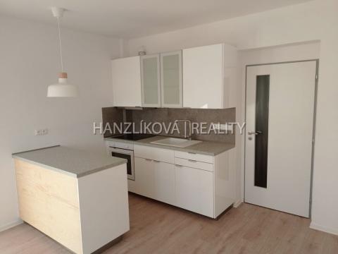 Pronájem bytu 1+kk, České Budějovice - České Budějovice 3, Fráni Šrámka, 36 m2