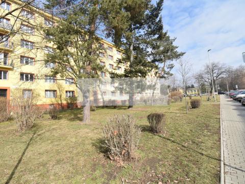 Prodej bytu 1+kk, Praha - Hloubětín, Mochovská, 24 m2