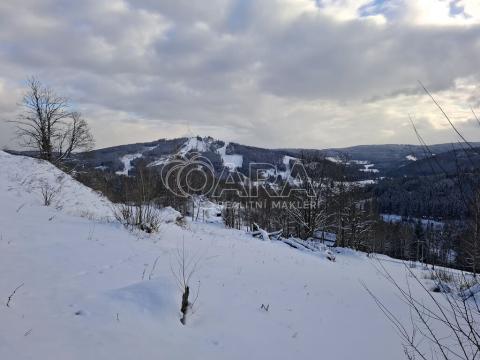 Prodej lesa, Albrechtice v Jizerských horách, 2926 m2