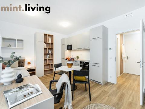 Pronájem bytu 1+kk, Praha - Vysočany, Odkolkova, 42 m2