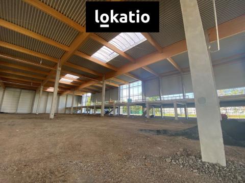 Pronájem skladu, Ostrava - Hrabůvka, 413 m2