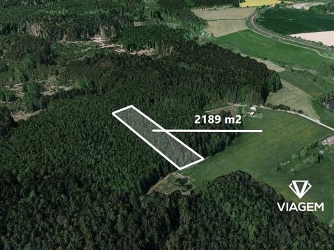 Prodej lesa, Nová Ves u Leštiny, 2189 m2