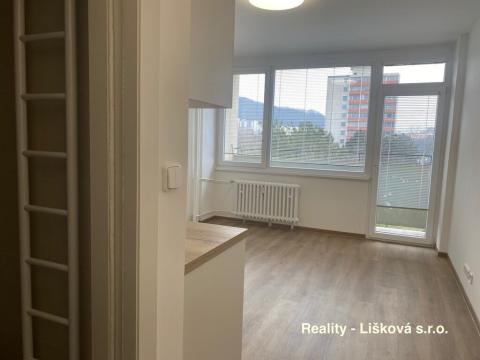 Pronájem bytu 1+kk, Ústí nad Labem - Ústí nad Labem-centrum, Malátova, 25 m2