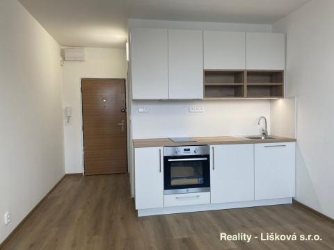Pronájem bytu 1+kk, Ústí nad Labem - Ústí nad Labem-centrum, Malátova, 25 m2