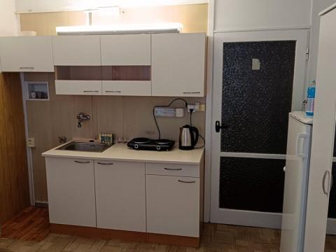 Pronájem bytu 1+kk, České Budějovice - České Budějovice 3, Pekárenská, 21 m2