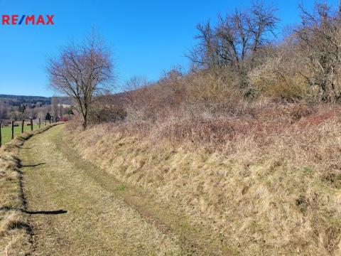 Prodej lesa, Běštín, 21632 m2