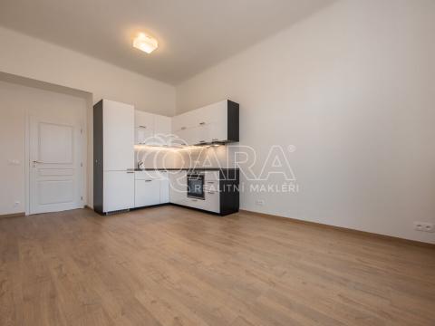 Pronájem bytu 3+kk, Praha - Staré Město, U milosrdných, 72 m2