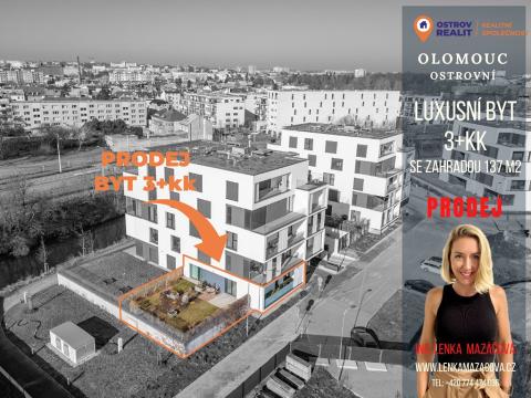 Prodej bytu 3+kk, Olomouc, Ostrovní, 263 m2