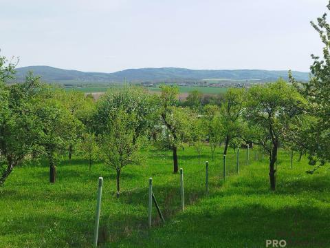 Prodej pozemku pro bydlení, Přílepy, 991 m2