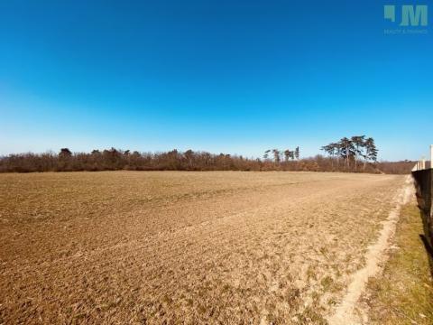 Prodej zahrady, Dobšice, 7000 m2