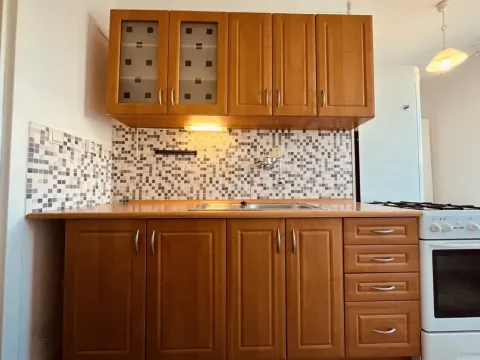 Pronájem bytu 1+1, Ostrava - Výškovice, Lužická, 38 m2