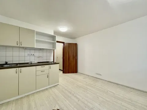 Pronájem bytu 1+kk, Brno - Bystrc, Rakovecká, 20 m2
