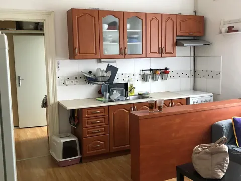 Pronájem bytu 1+1, Prostějov, Netušilova, 56 m2