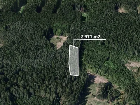 Prodej podílu lesa, Tomice, 1485 m2