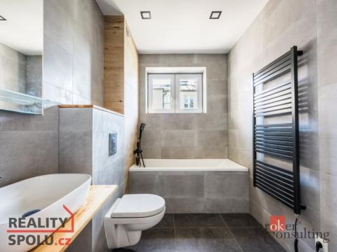 Pronájem bytu 2+kk, Ostrava - Mariánské Hory, Cottonové, 49 m2