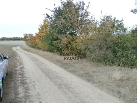 Pronájem zahrady, Znojmo, Leska Horní, 693 m2