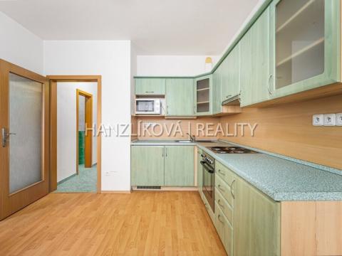 Prodej bytu 2+kk, České Budějovice - České Budějovice 3, J. Š. Baara, 43 m2