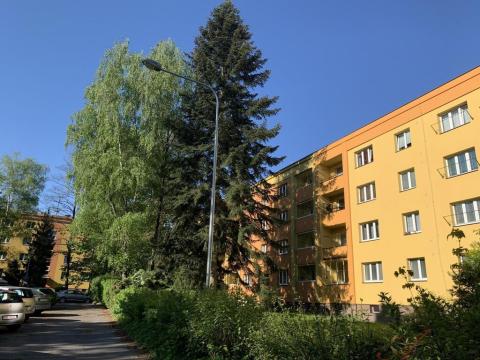 Pronájem bytu 2+1, Ostrava - Zábřeh, Svazácká, 55 m2