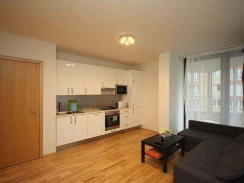 Pronájem bytu 2+kk, Praha - Žižkov, Olšanská, 80 m2