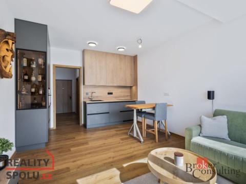 Pronájem bytu 1+kk, Plzeň - Jižní Předměstí, Železná, 31 m2