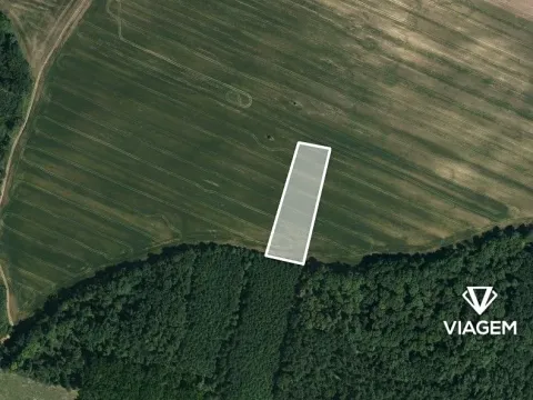 Prodej podílu pole, Mutěnice, 1382 m2