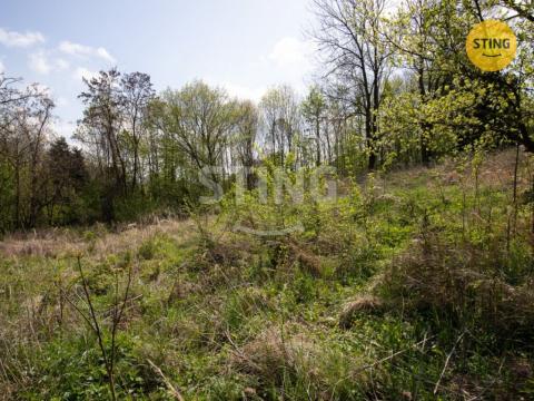 Prodej pozemku pro bydlení, Teplice nad Bečvou, 1583 m2