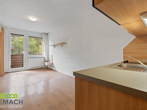 Prodej bytu 1+kk, Všemina, 25 m2