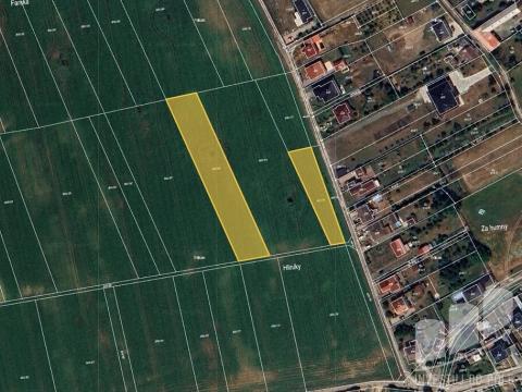 Prodej pozemku, Cholina, 2561 m2