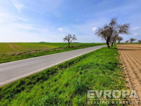 Prodej pole, Čistá, 27281 m2