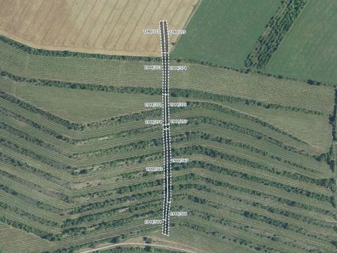 Prodej sadu/vinice, Morkůvky, 4640 m2