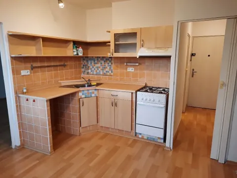 Pronájem bytu 1+1, Lovosice, Kmochova, 36 m2